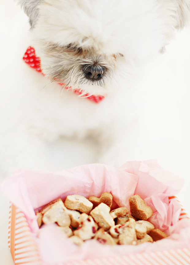healthy-cranberry-dog-treats